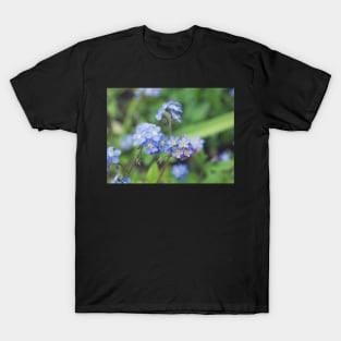 Forget-Me-Nots 2 T-Shirt